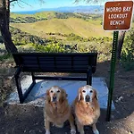 Mountain Top Getaway, Best View In Slo! - Whole House
