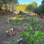 Vista House, Luxury Above The Clouds! - Whole House