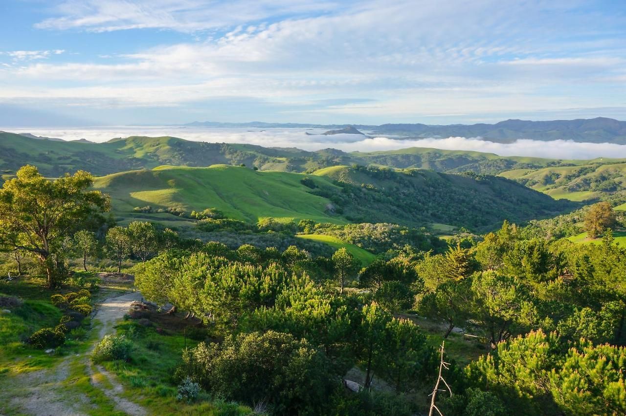 Vista House, Luxury Above The Clouds! - Whole House * San Luis Obispo