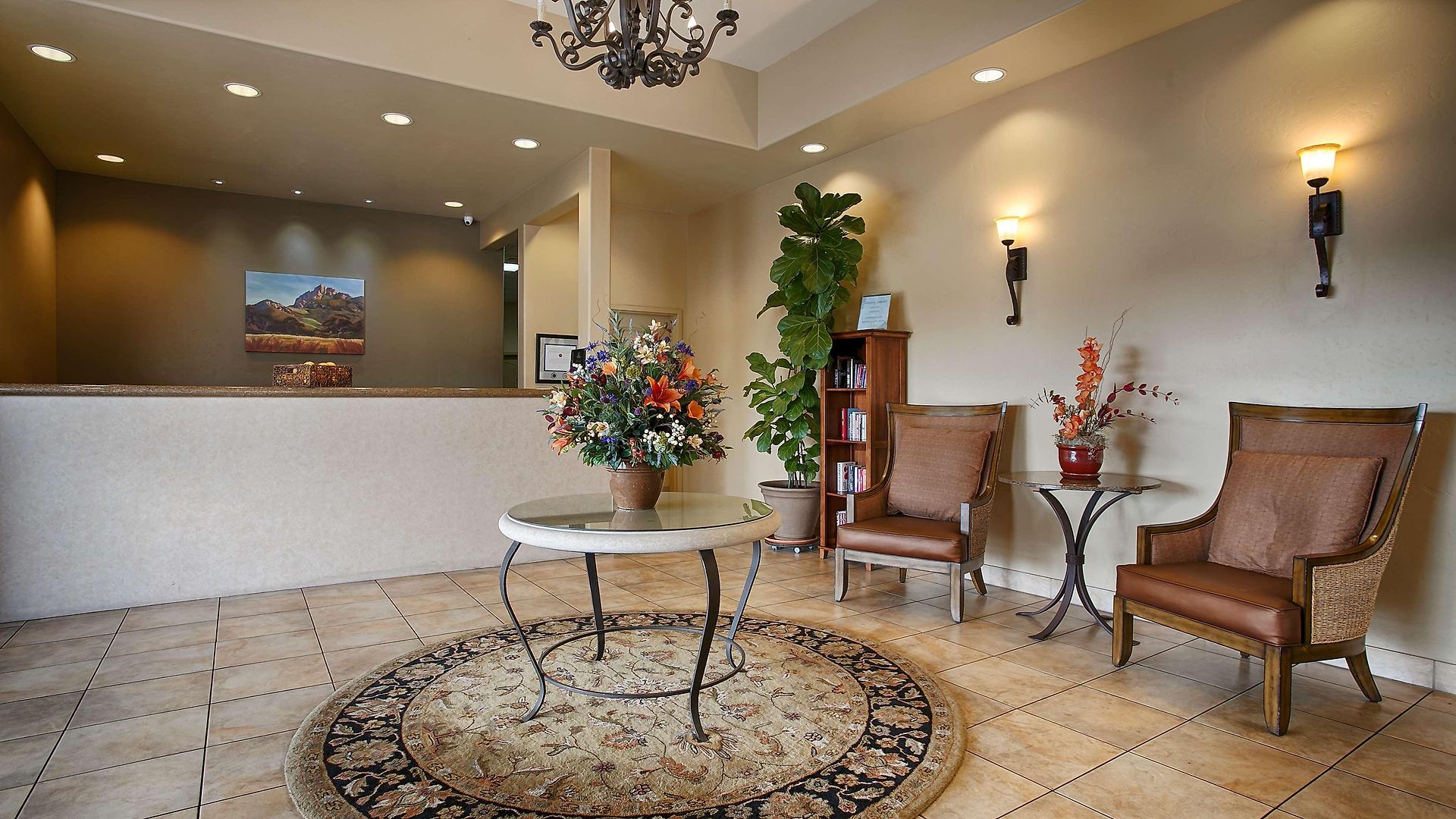 Western Royal Oak San Luis Obispo