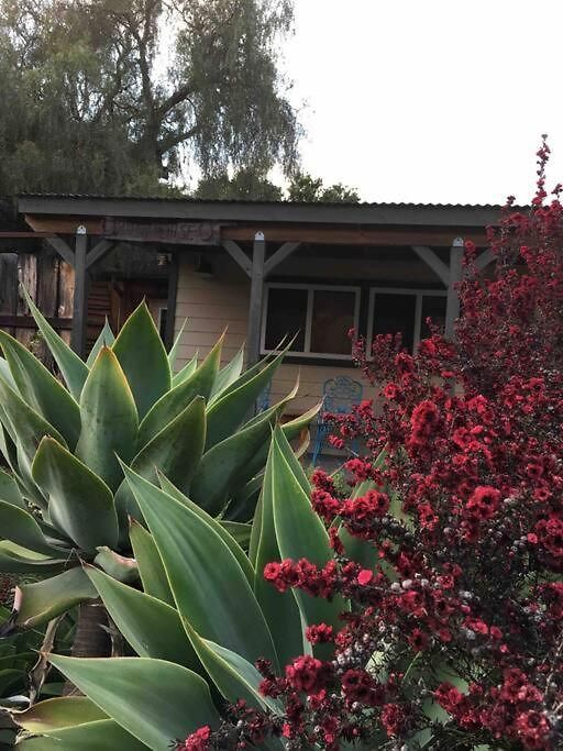 Pacific Coast Hwy Bunkhouse In San Luis Obispo