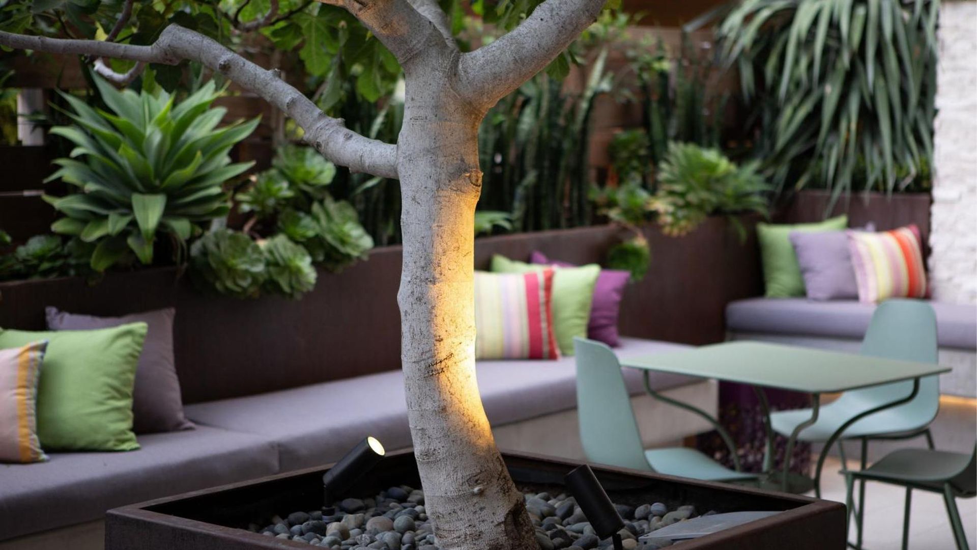 Cerro, Autograph Collection Hotel San Luis Obispo