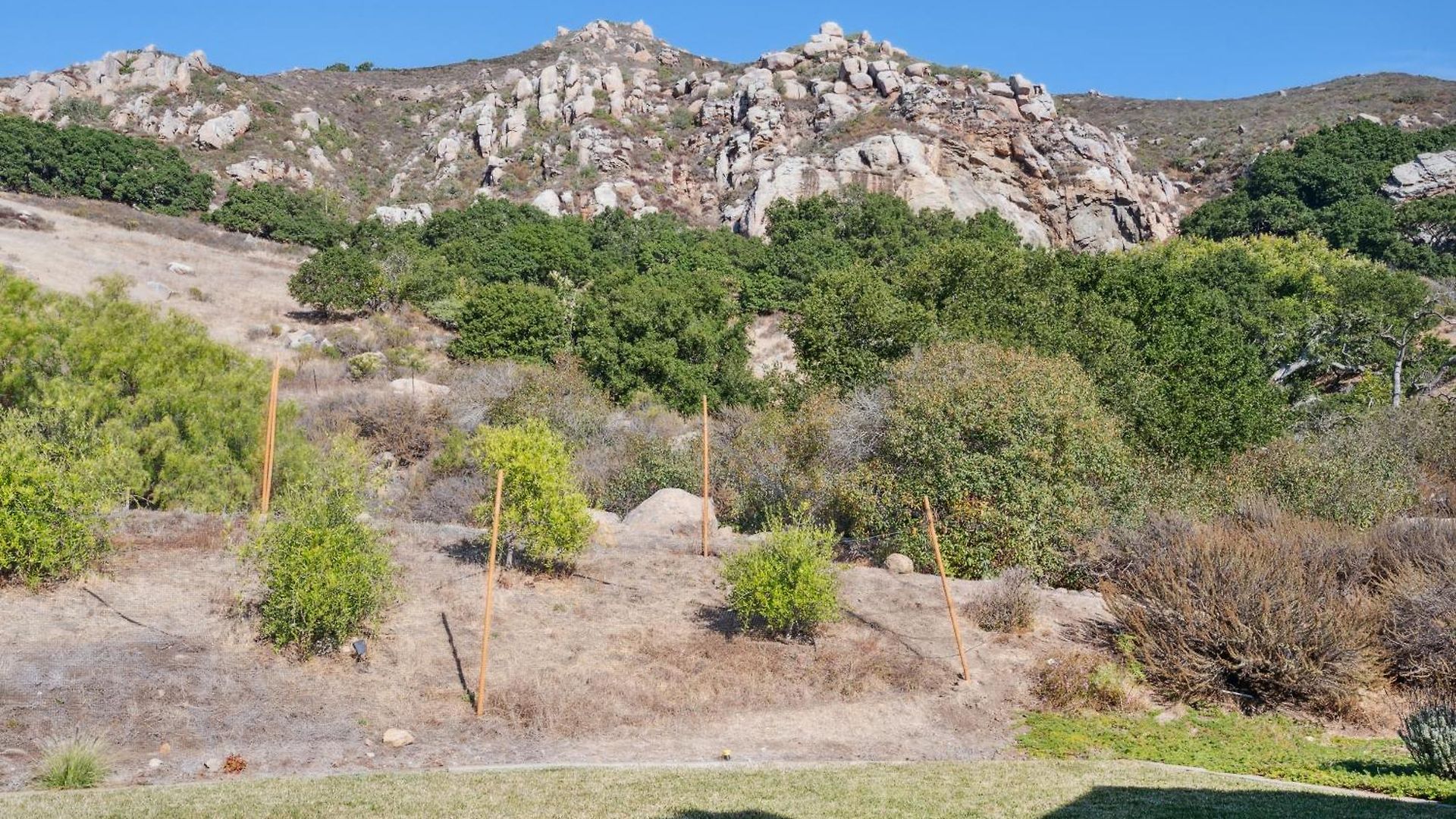 Holiday home Serene Retreat In The Heart Of Slo San Luis Obispo