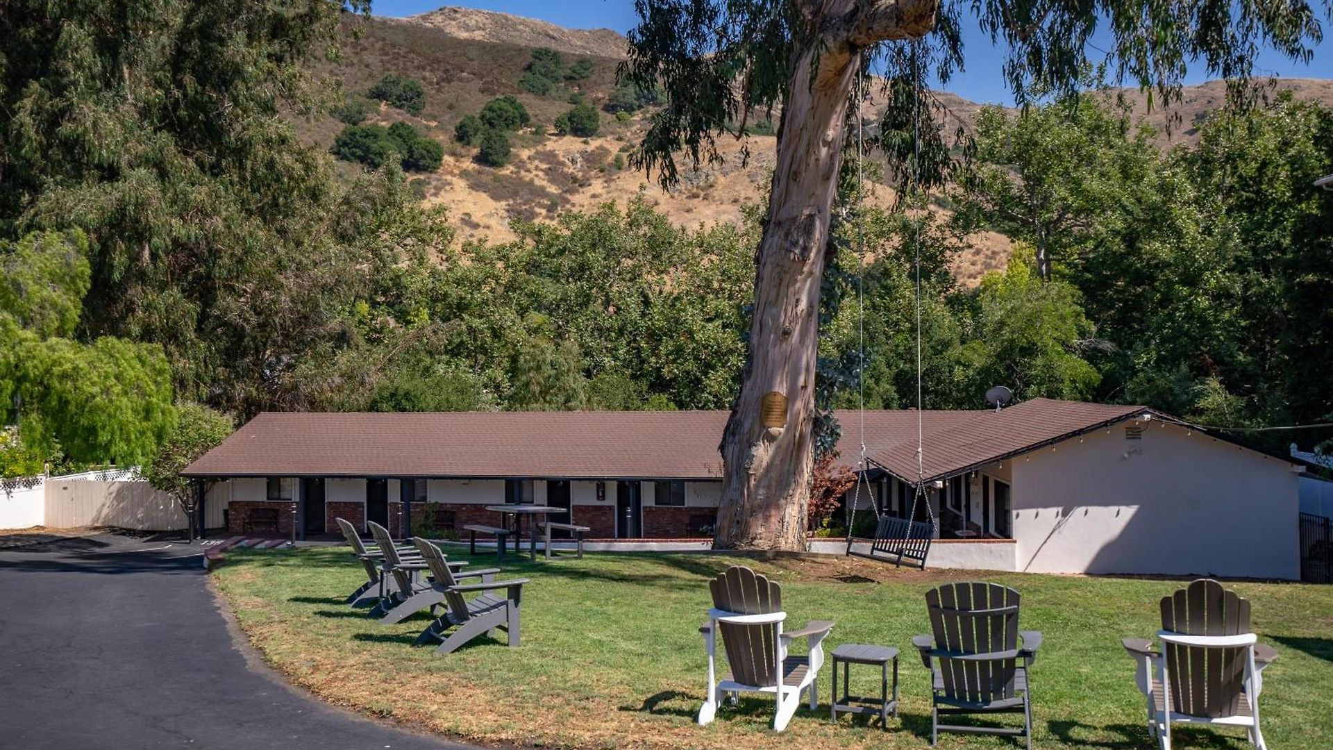 Peach Tree San Luis Obispo