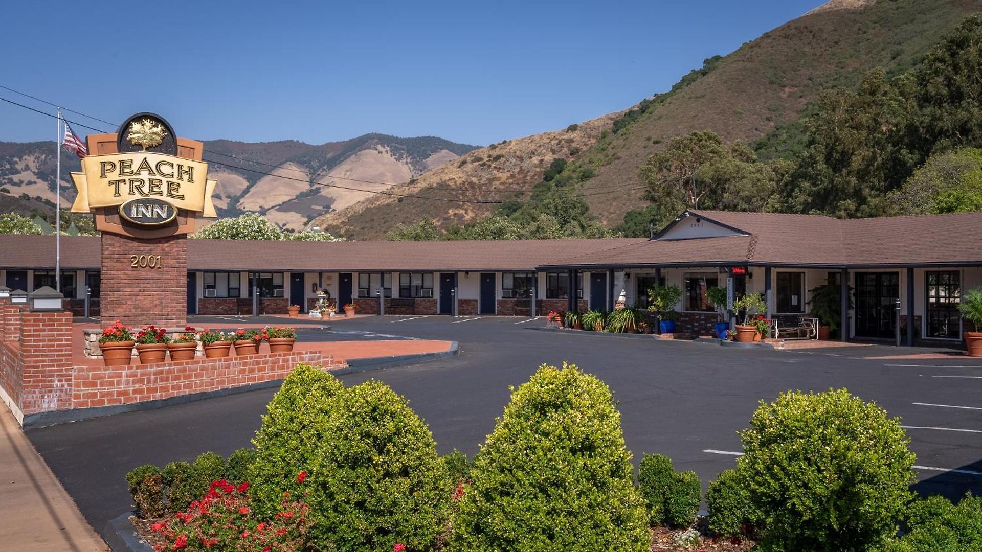 Peach Tree 2* San Luis Obispo