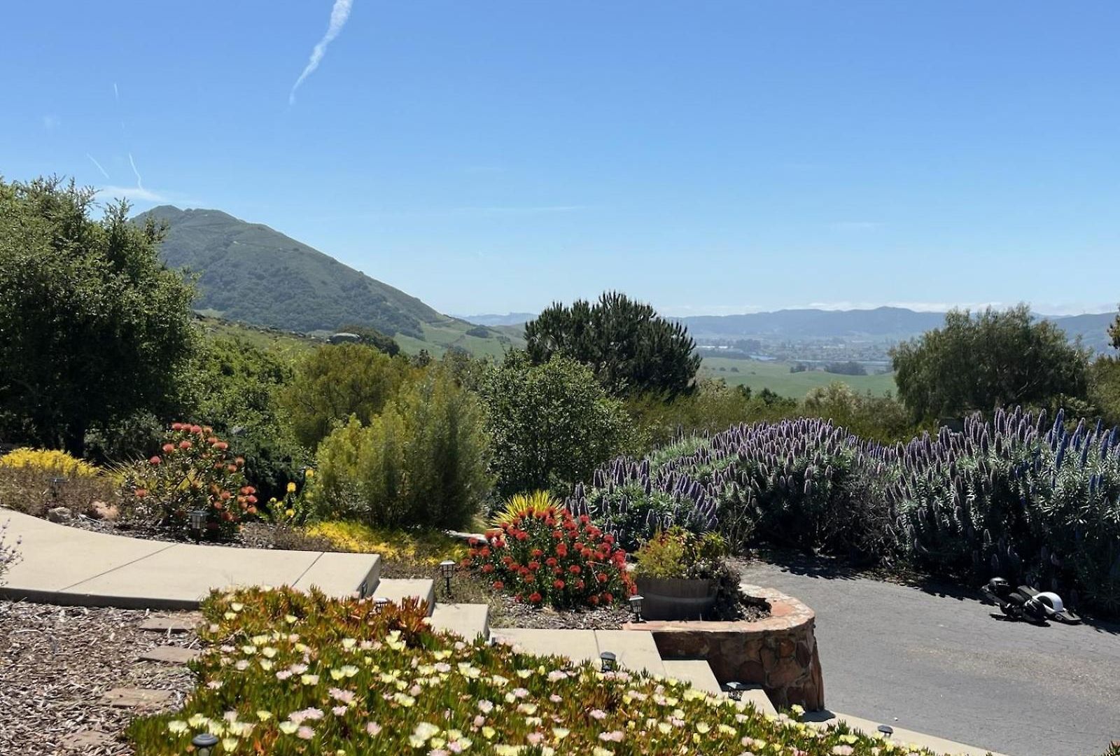 Holiday home Serene Retreat In The Heart Of Slo *