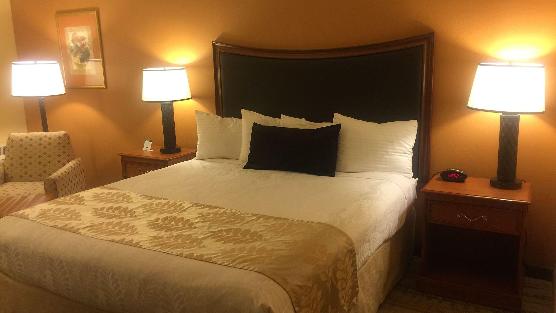 Western Royal Oak San Luis Obispo