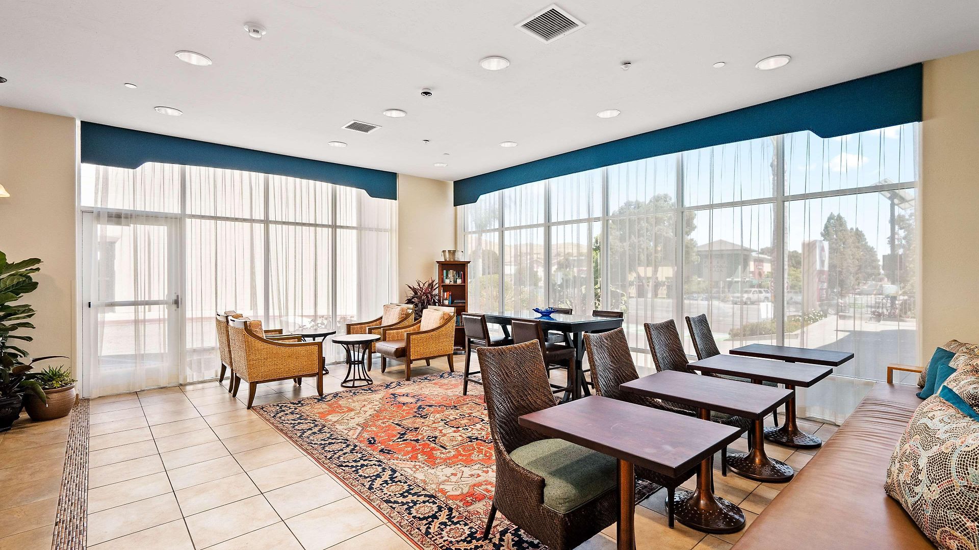 Western Royal Oak San Luis Obispo