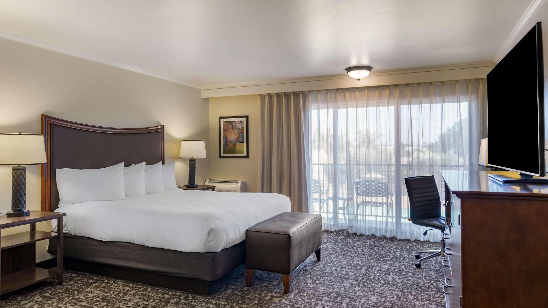 Western Royal Oak San Luis Obispo