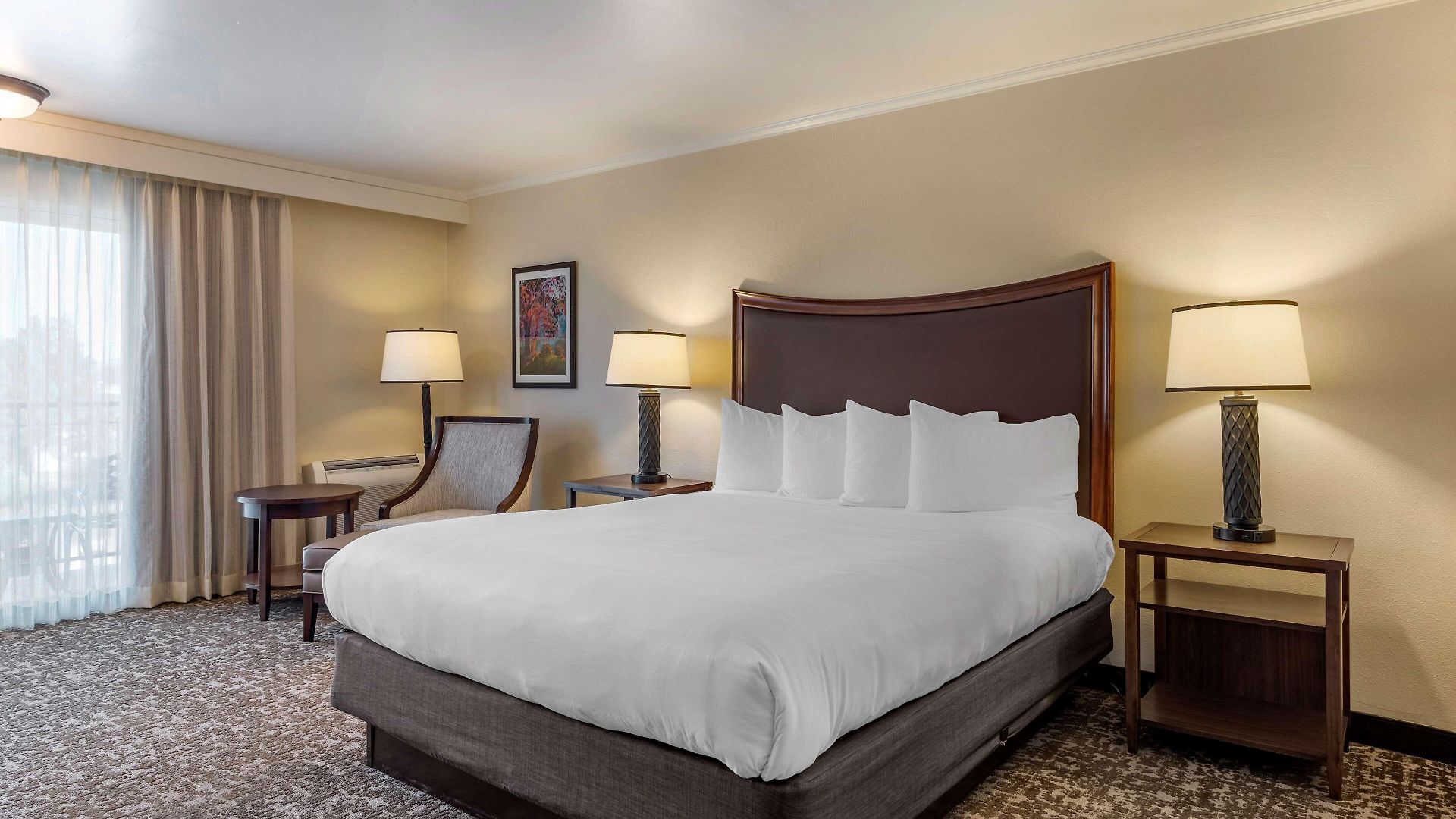 Western Royal Oak San Luis Obispo