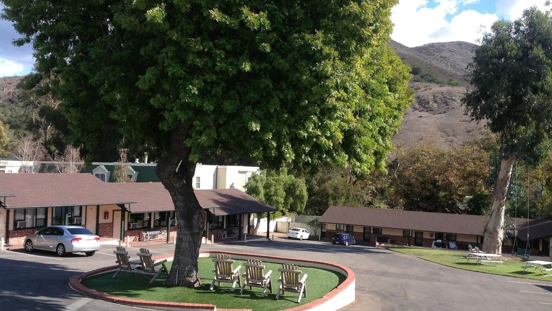 Peach Tree San Luis Obispo
