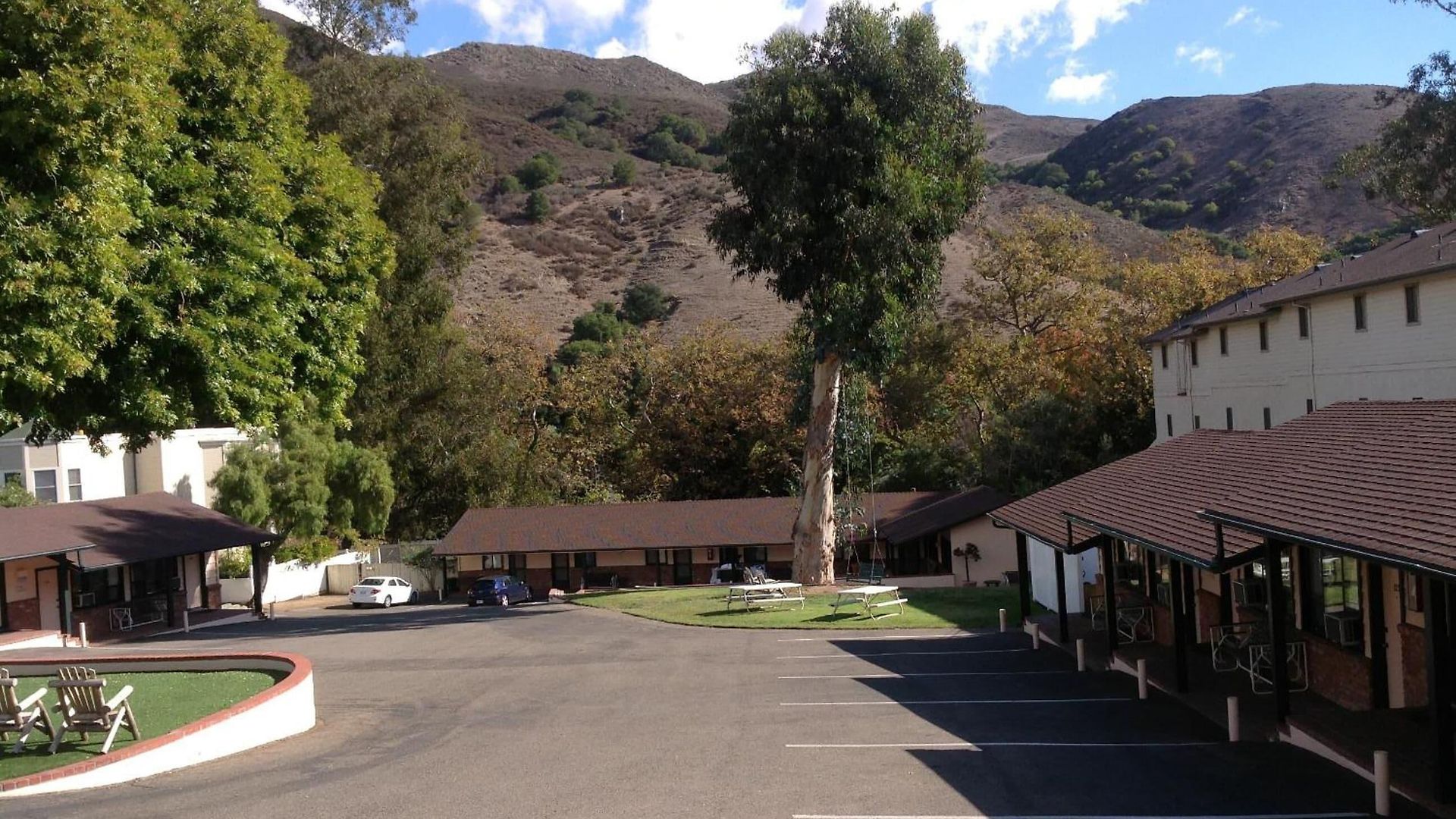 Peach Tree San Luis Obispo