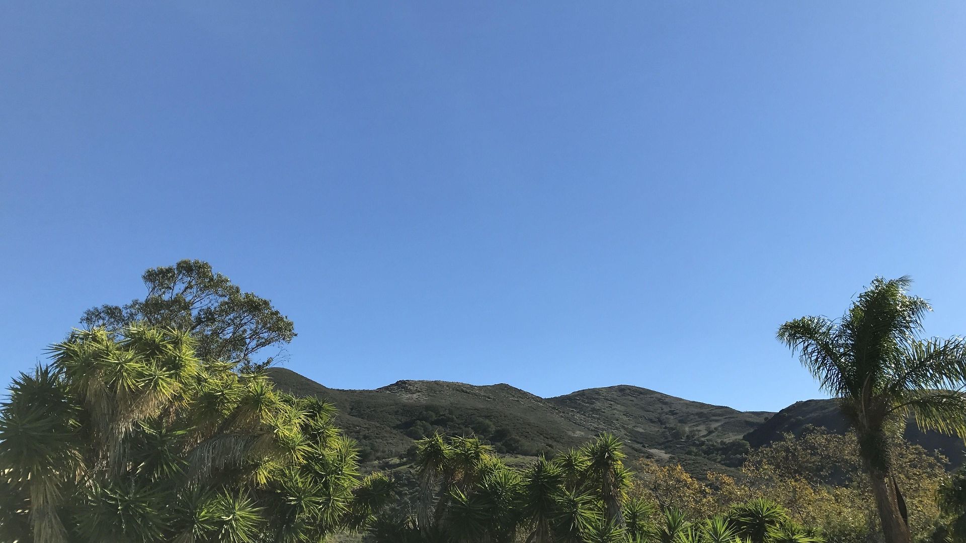 At 3* San Luis Obispo