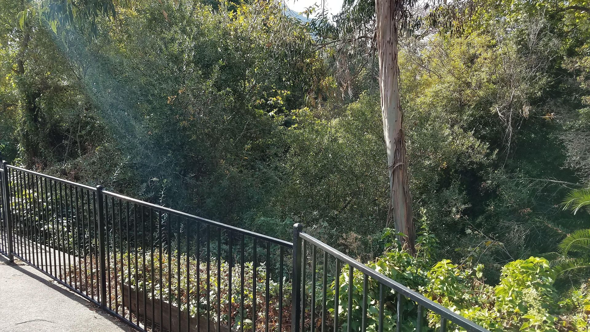 Olive Tree & Suites, A Howard Johnson By Wyndham Hotel