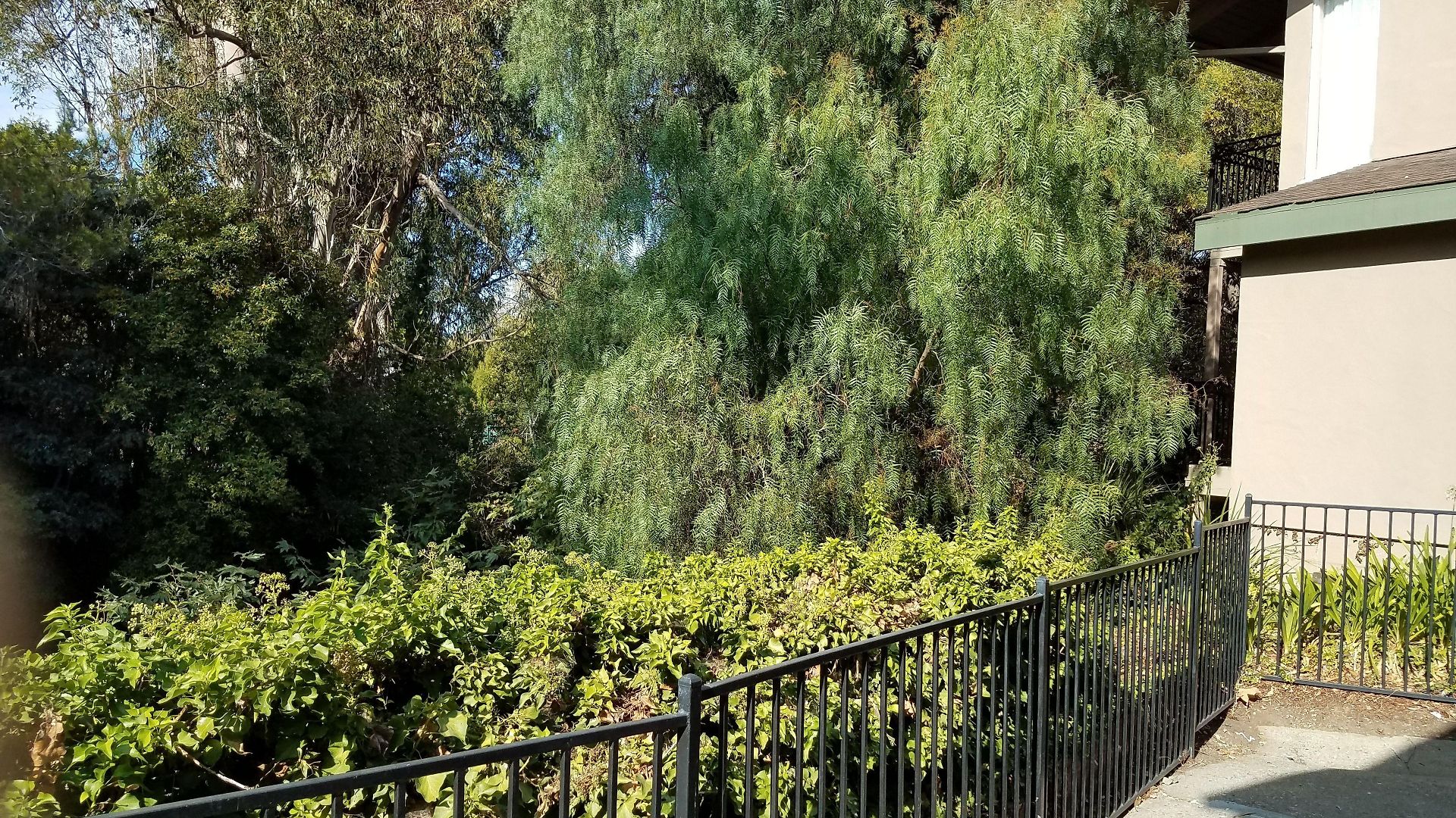 Hotel Olive Tree & Suites, A Howard Johnson By Wyndham