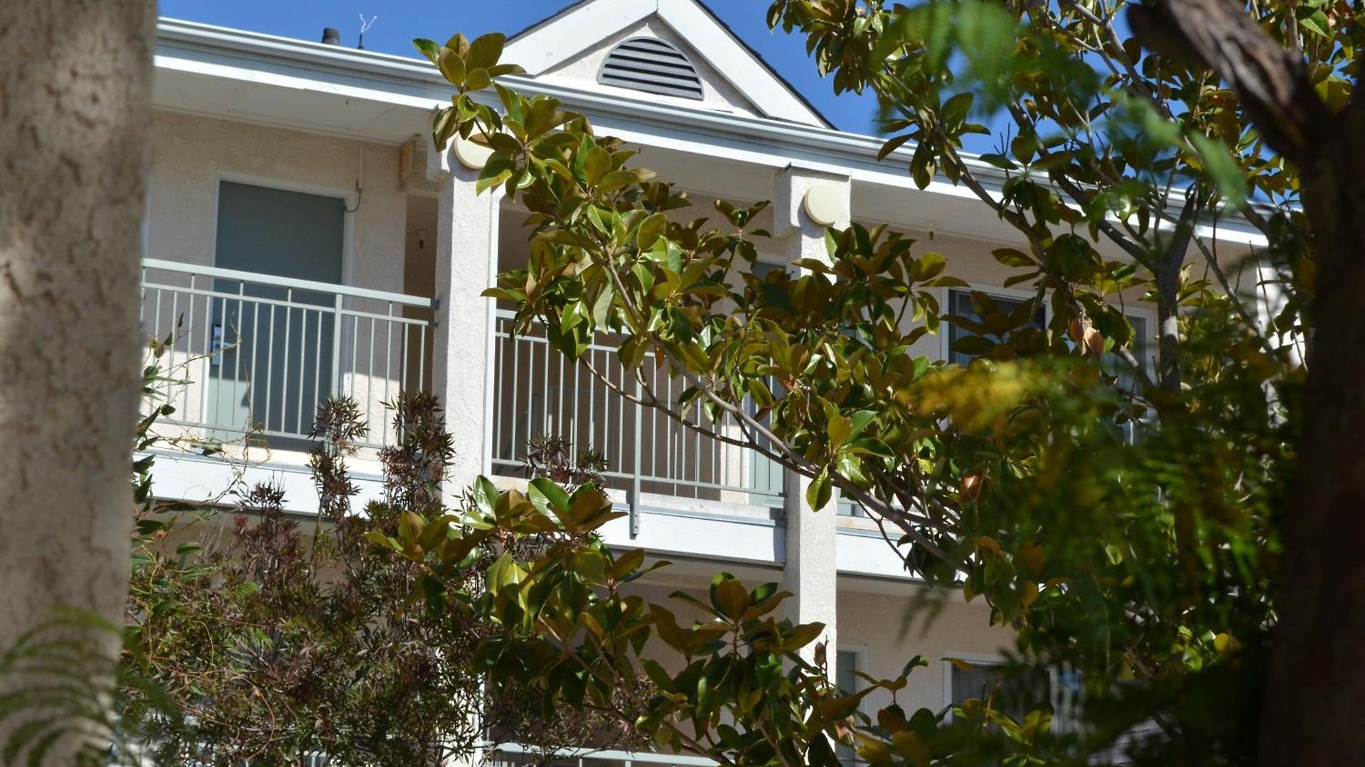 Hotel Buena Vista -