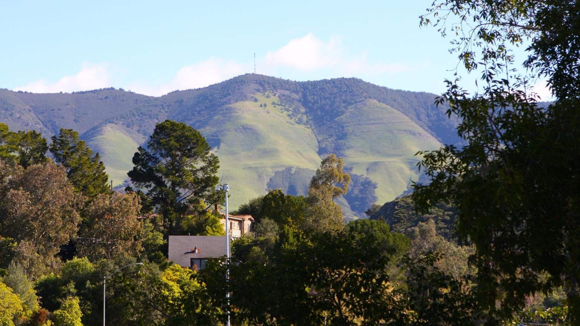 Buena Vista - San Luis Obispo