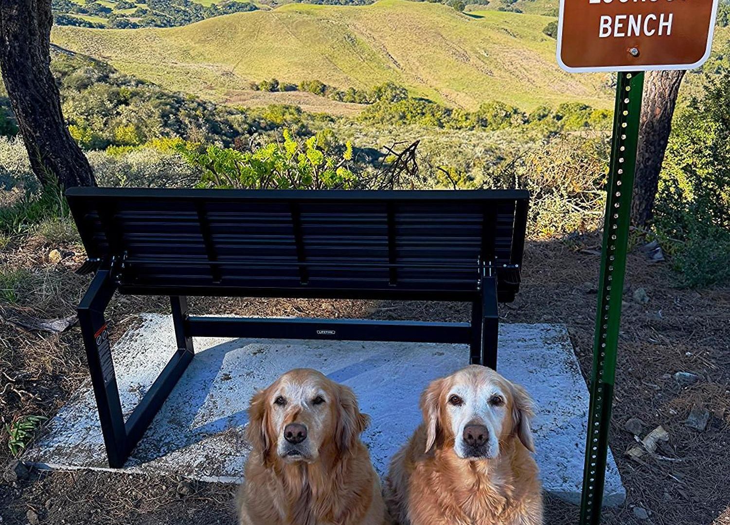 Vista House, Luxury Above The Clouds! - Whole House Holiday home *