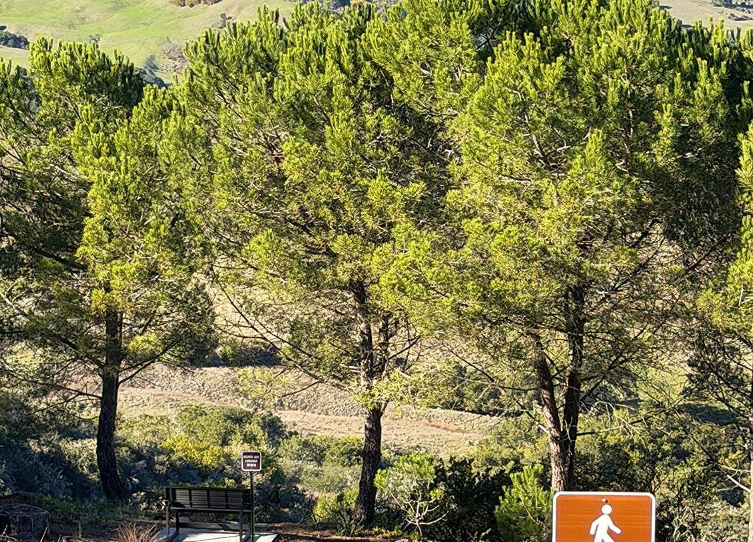 Vista House, Luxury Above The Clouds! - Whole House Holiday home