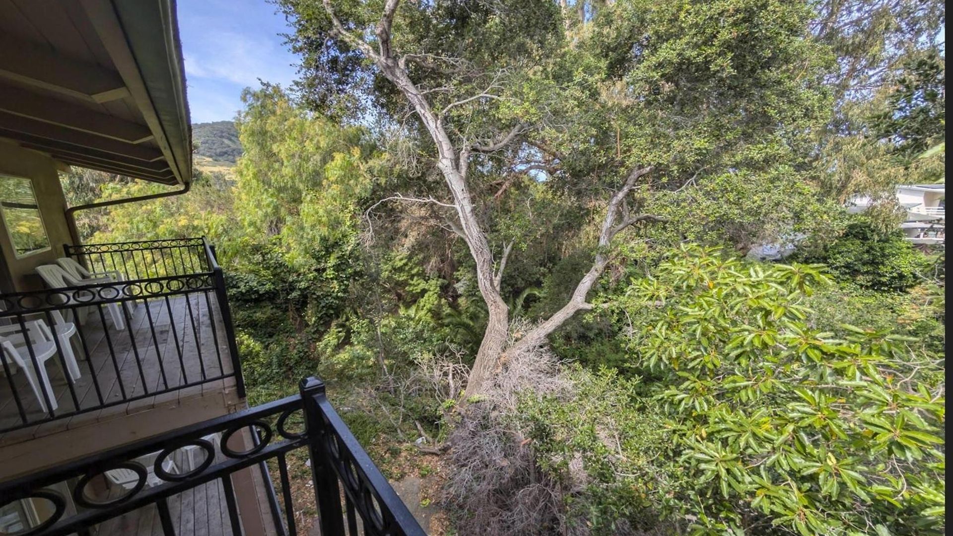 Olive Tree & Suites, A Howard Johnson By Wyndham