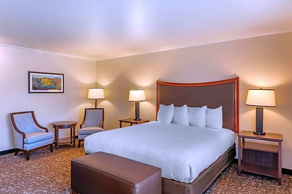 Hotel Western Royal Oak