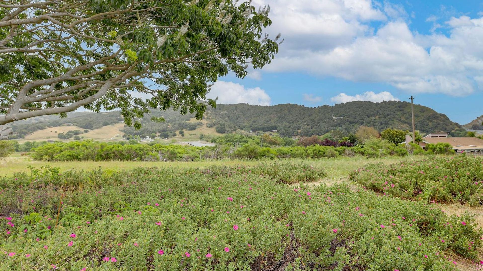 Holiday home Hike, Work & Play! Slo Home: 2 Mi To Beaches San Luis Obispo