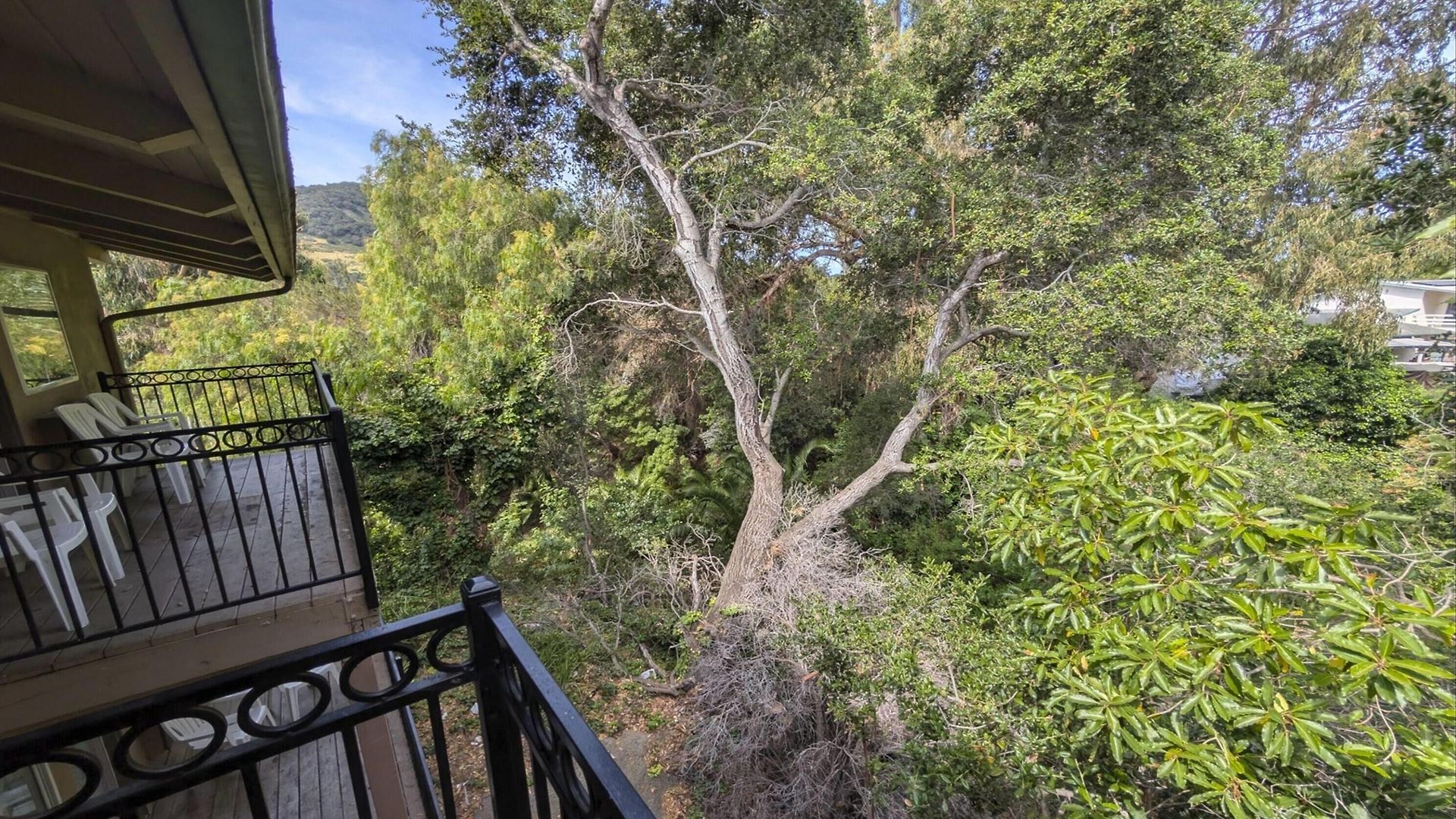 Olive Tree & Suites, A Howard Johnson By Wyndham 3*