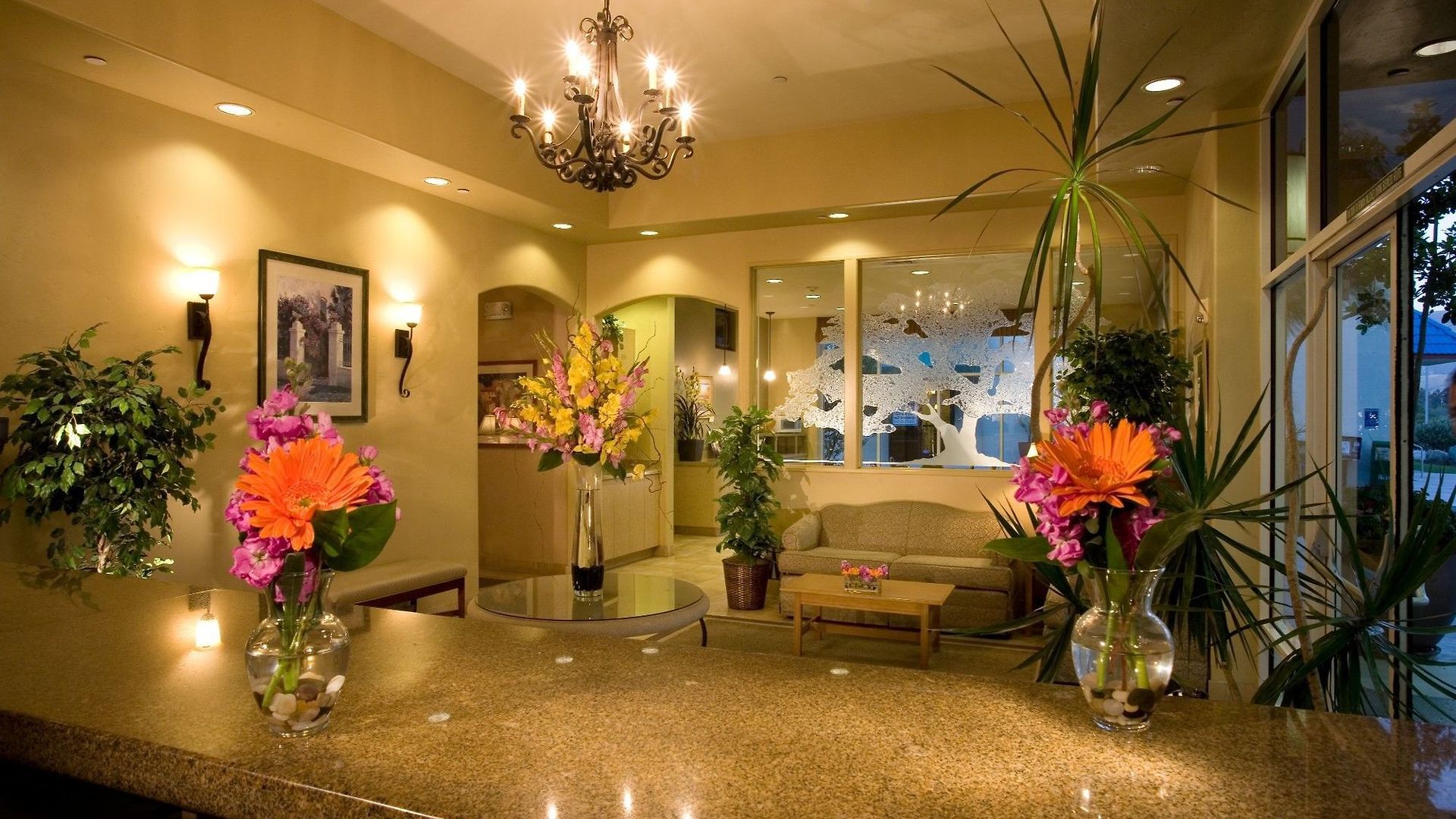 Western Royal Oak San Luis Obispo