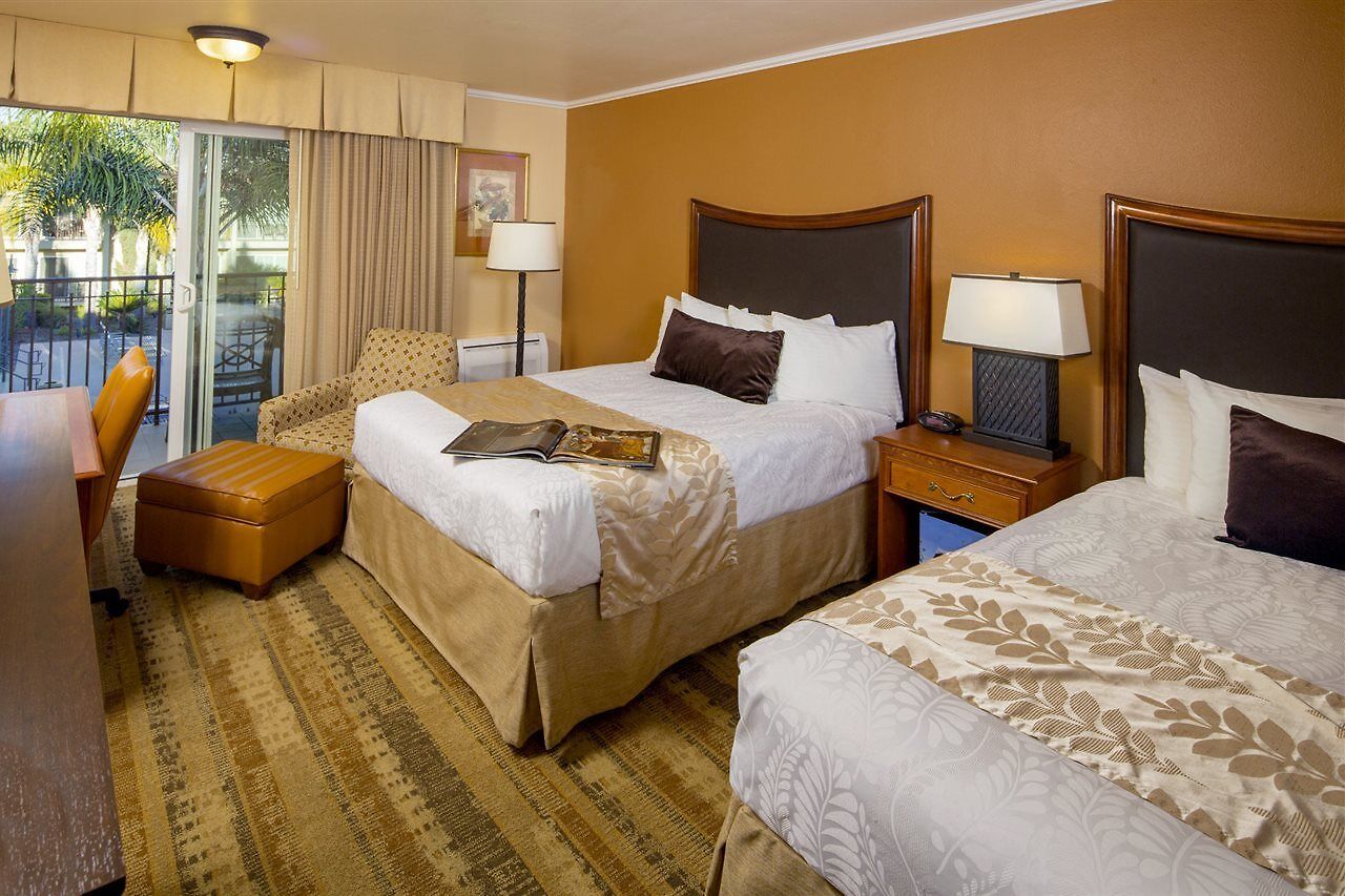 Western Royal Oak San Luis Obispo