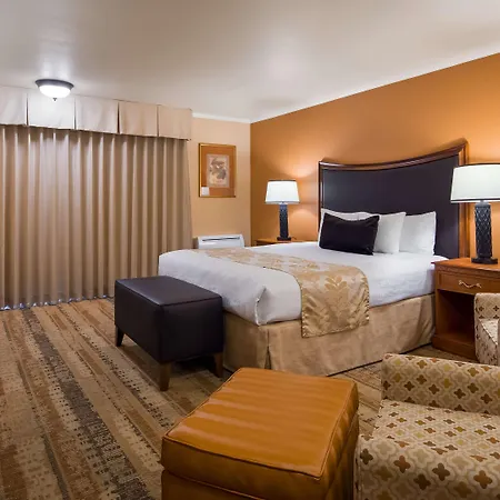 Western Royal Oak San Luis Obispo