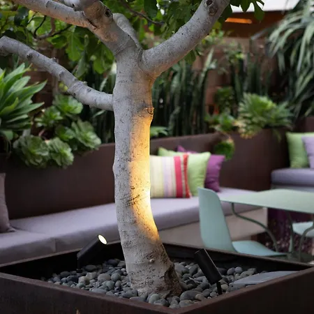 Cerro, Autograph Collection Hotel San Luis Obispo