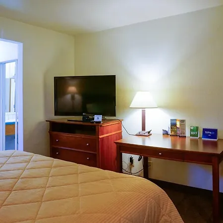 Hotel Lamplighter &