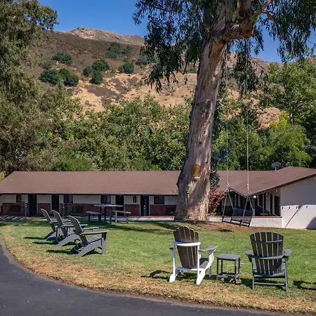 Peach Tree San Luis Obispo