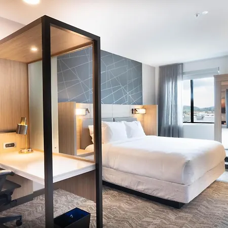 Springhill By Marriott Hotel 3*