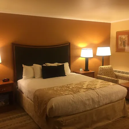 Western Royal Oak Hotel 3*