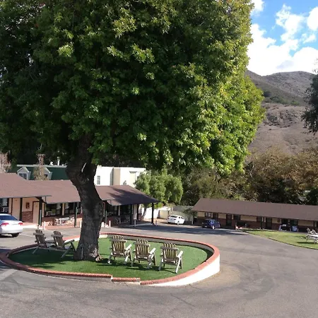 Peach Tree San Luis Obispo