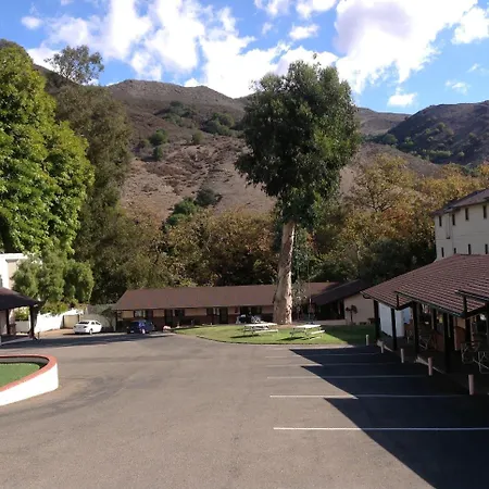 Peach Tree San Luis Obispo