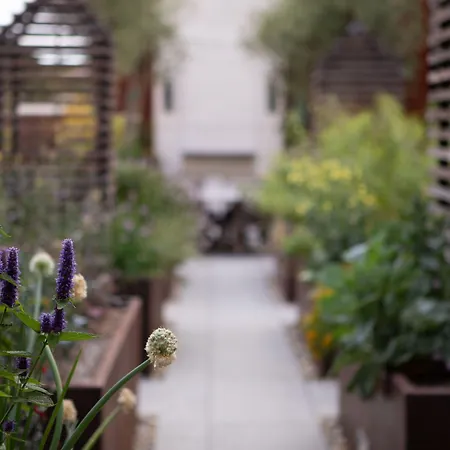 Hotel Cerro, Autograph Collection 4*