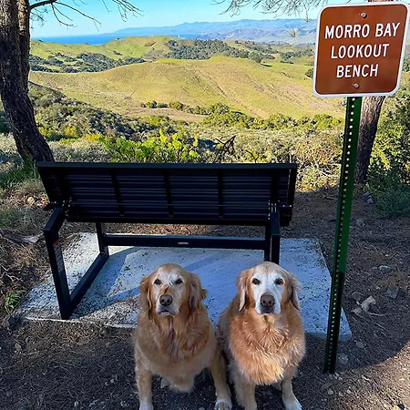 Mountain Getaway, View In Slo! - Whole House