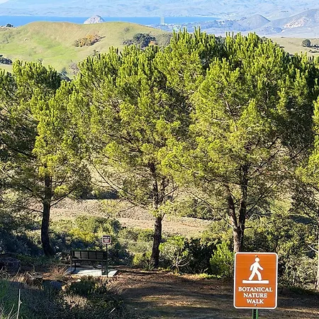 Mountain Getaway, View In Slo! - Whole House San Luis Obispo