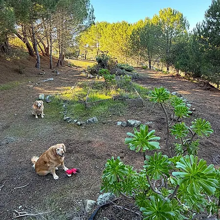 Holiday home Vista House, Luxury Above The Clouds! - Whole House San Luis Obispo