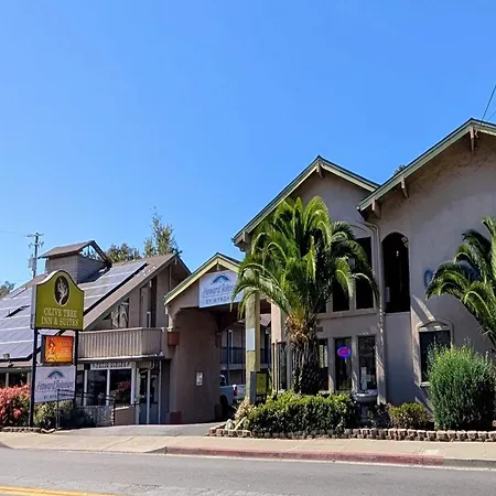 Hotel Olive Tree & Suites, A Howard Johnson By Wyndham 3*