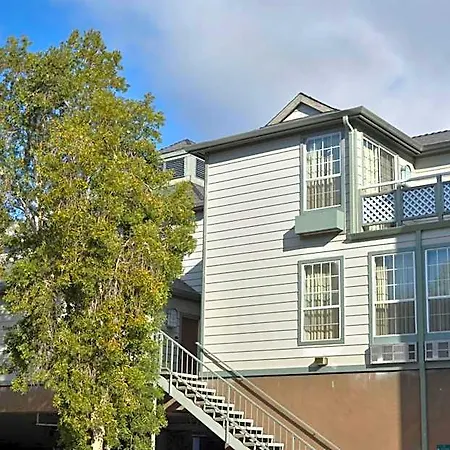 Buena Vista - 3*