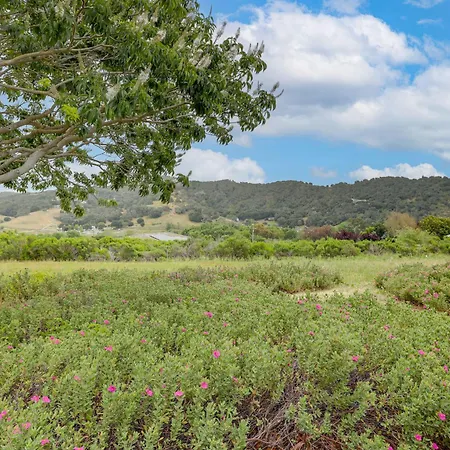 Holiday home Hike, Work & Play! Slo Home: 2 Mi To Beaches San Luis Obispo