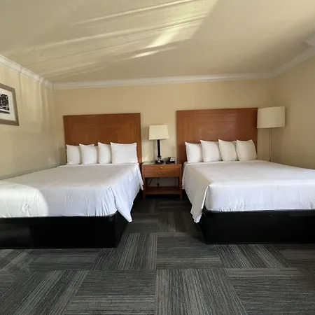 Hotel At 3*