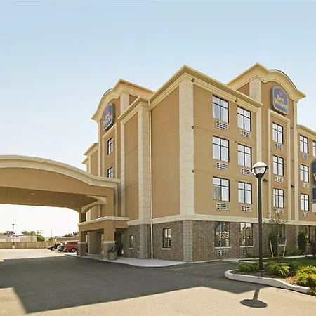Western Royal Oak San Luis Obispo