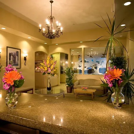 Western Royal Oak San Luis Obispo