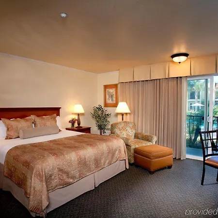 Western Royal Oak San Luis Obispo