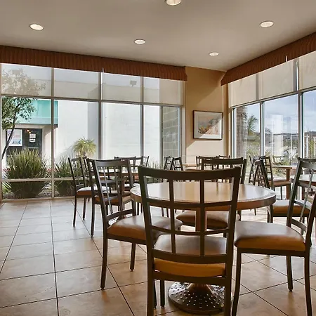 Western Royal Oak San Luis Obispo