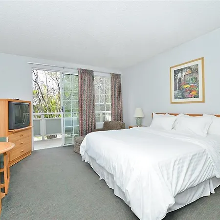 Buena Vista - Hotel San Luis Obispo